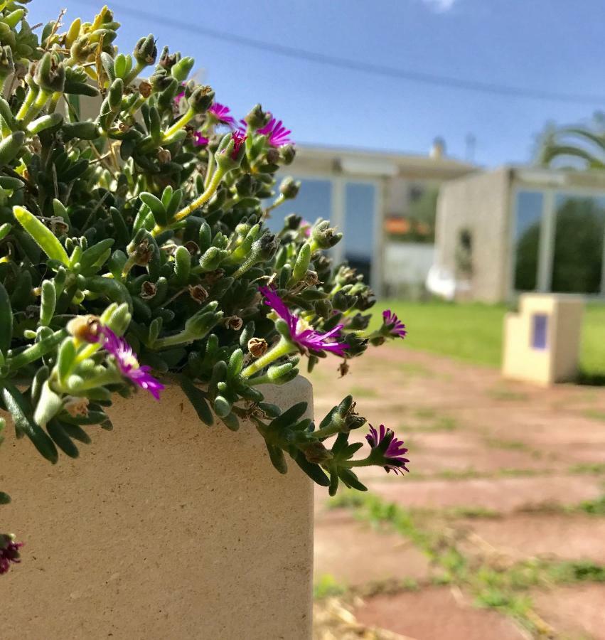B&B Villa Degli Angeli Bernalda Eksteriør billede